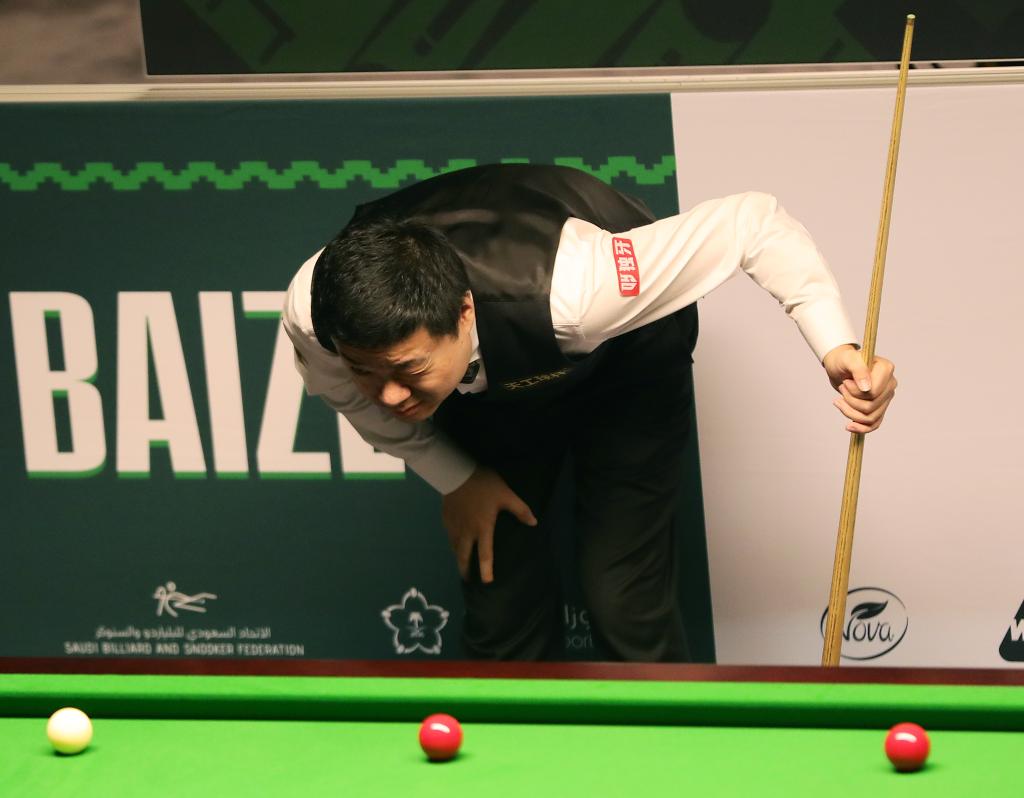 提供了新的 提供了新的