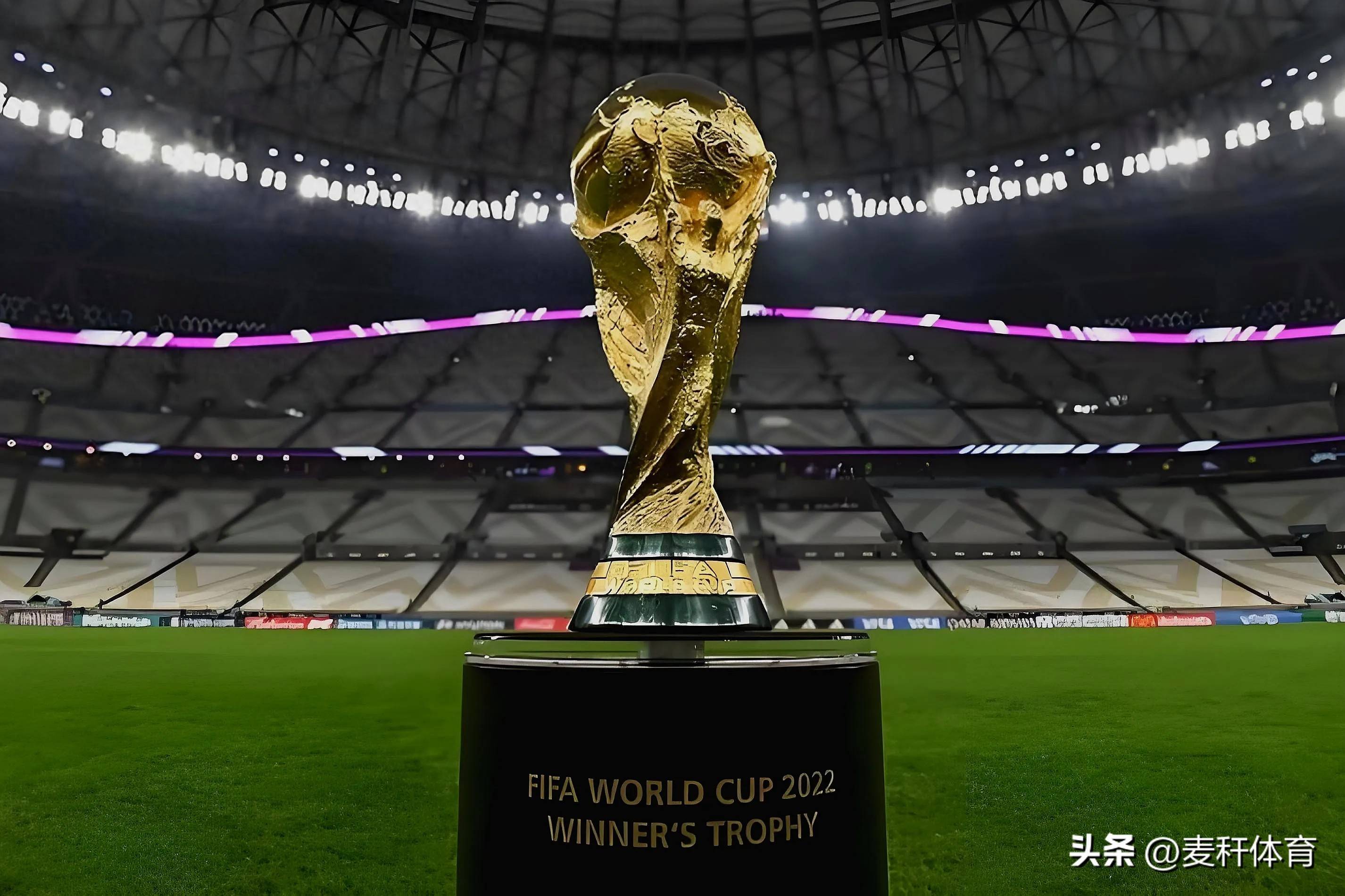 量与观赏性 量与观赏性