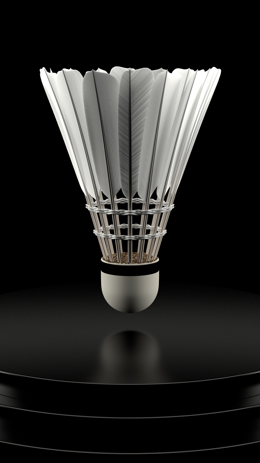 在竞技体育 在竞技体育