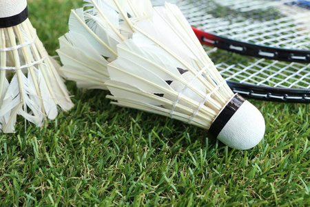 本文将对波 本文将对波