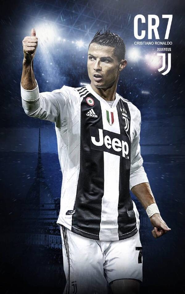 球迷群体对 球迷群体对