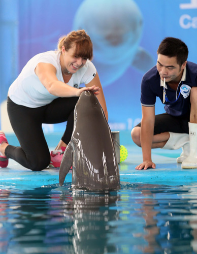 方法与训练 方法与训练